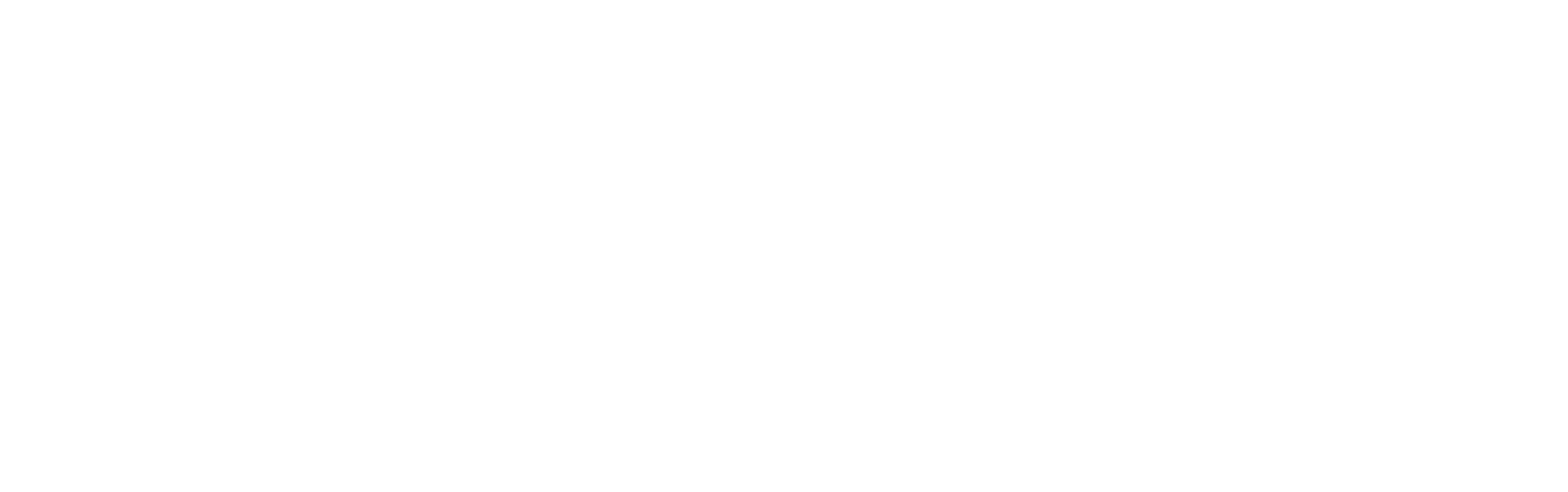 Coca-Cola NewTradition - Coca-Cola